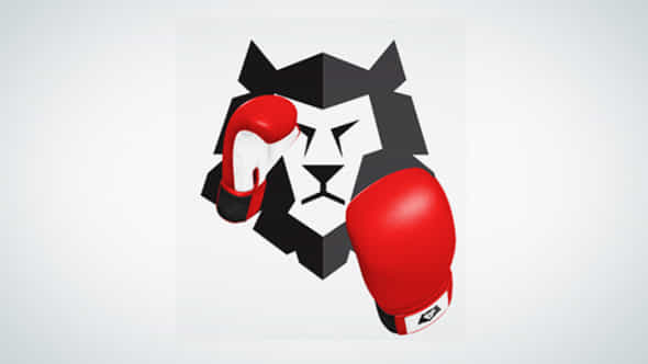 Boxing Gloves Punch It - VideoHive 15029335