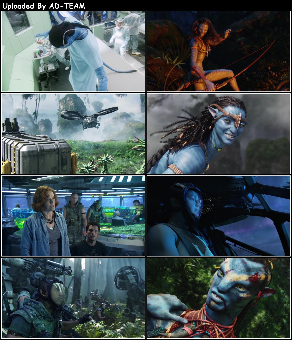 Avatar 2009 EXTENDED 1080p BluRay H264 AAC-RARBG MGvqgfTG_o