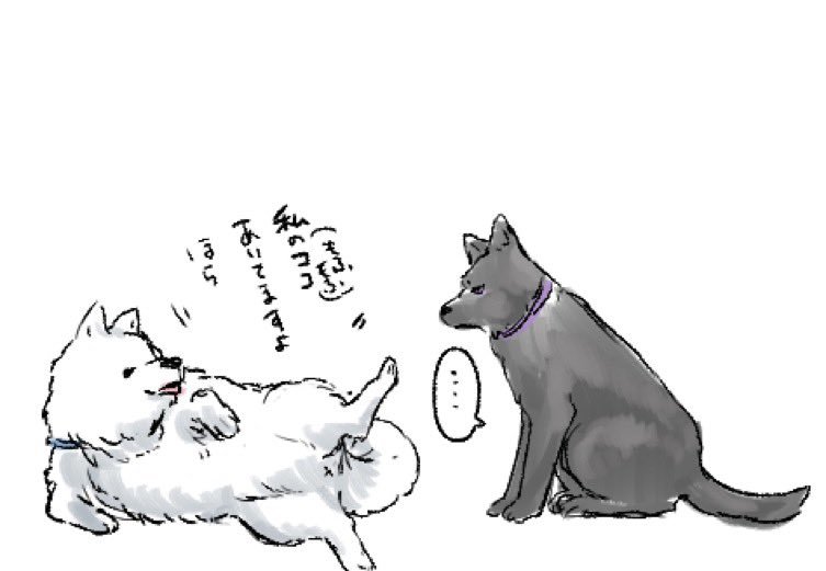 EaS7m7gd_o.jpg