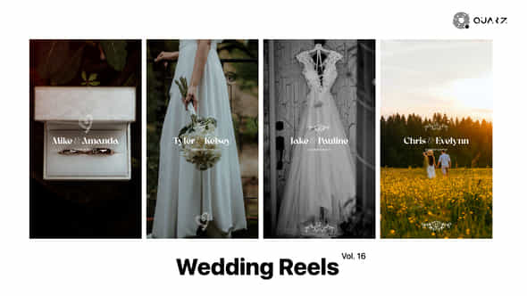 Wedding Reels Vol 16 - VideoHive 49308073