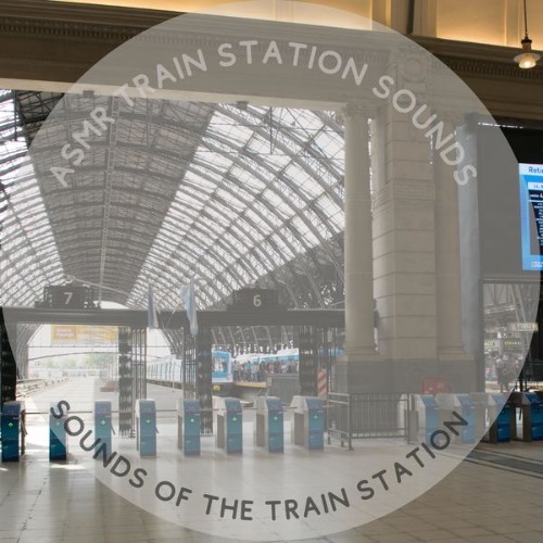 ASMR Train Station Sounds - Sounds of the Train Station - 2022