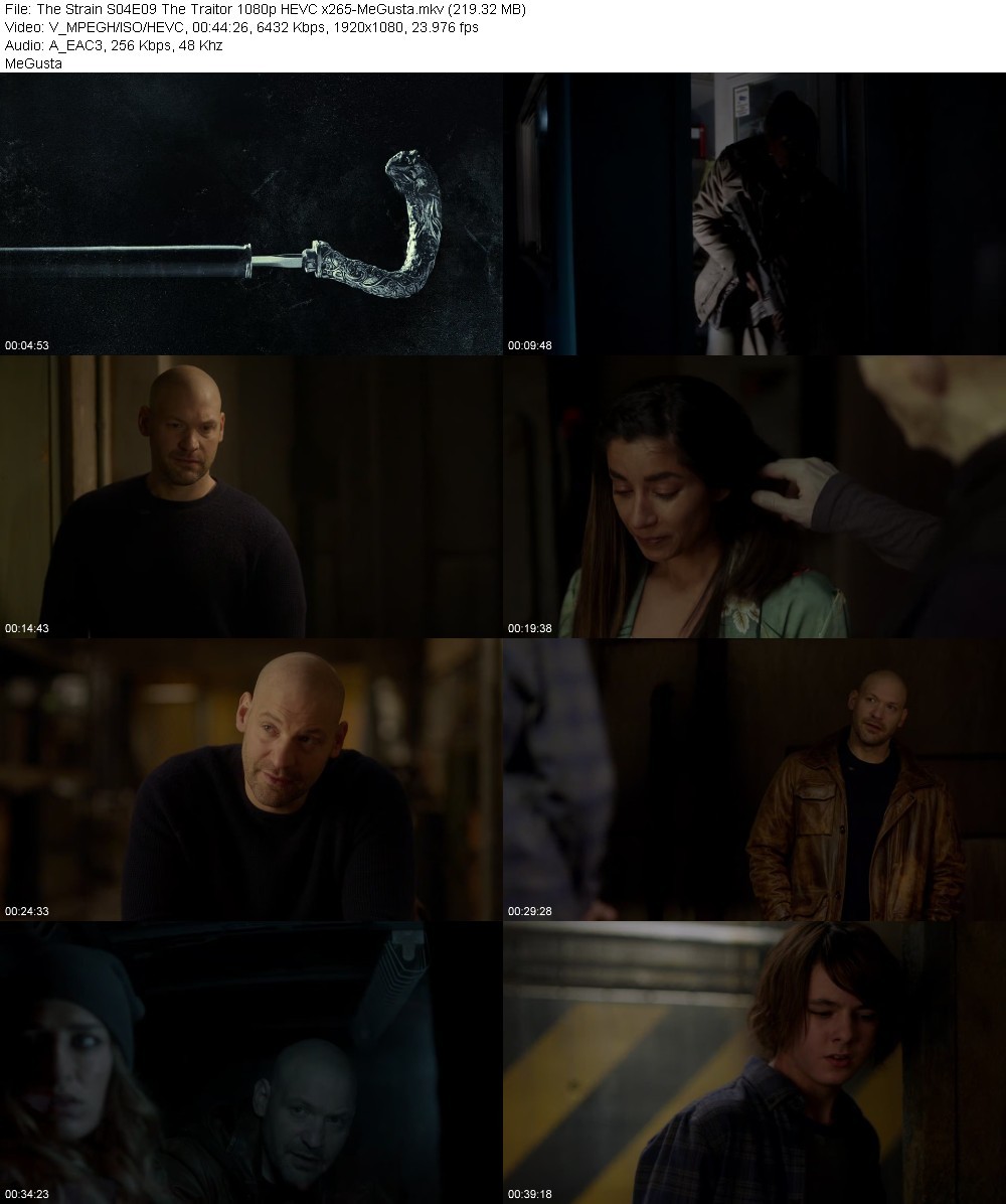 The Strain S04E09 The Traitor 1080p HEVC x265-MeGusta