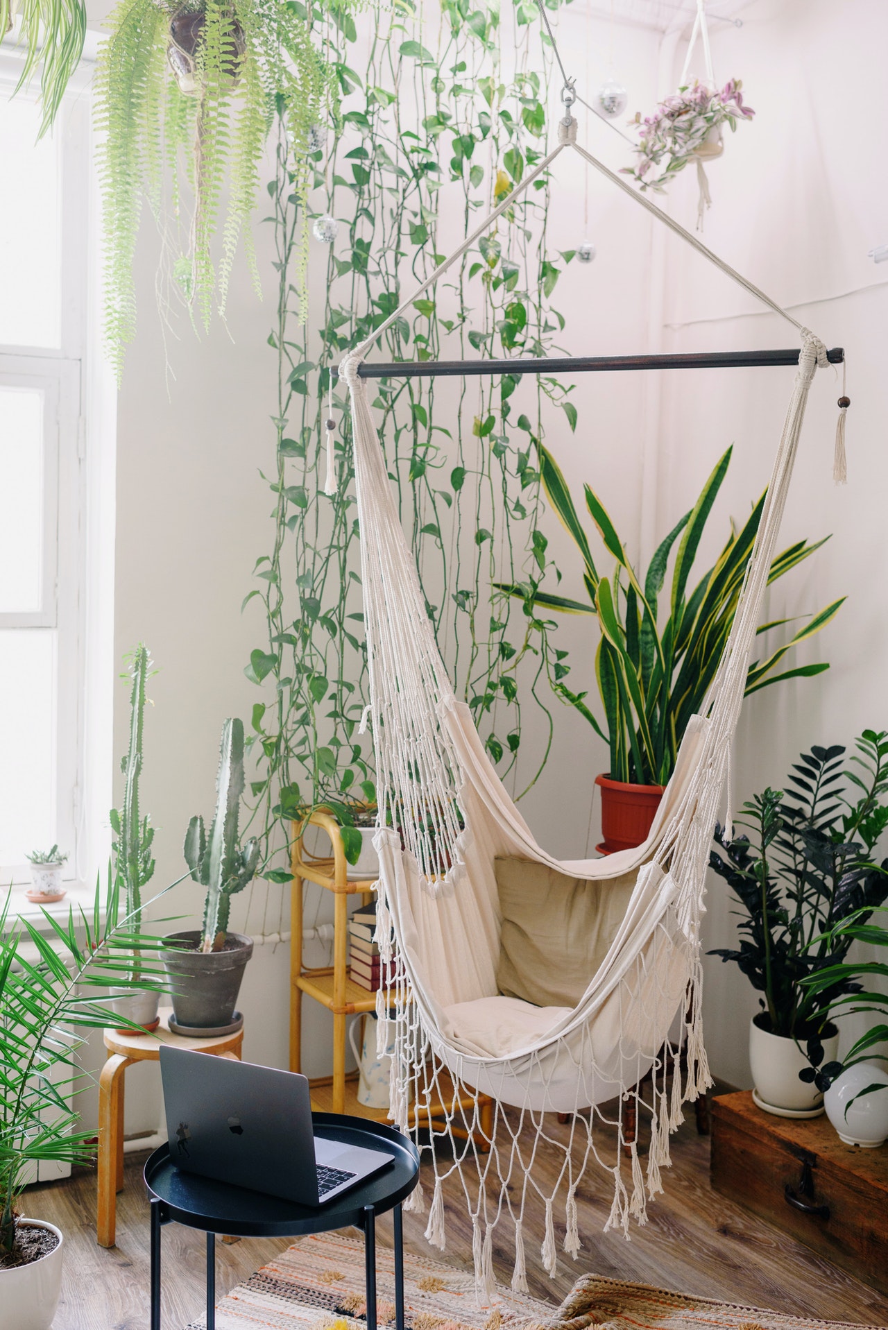 Open laptop sits on table in front of white hammock in room full of house plants