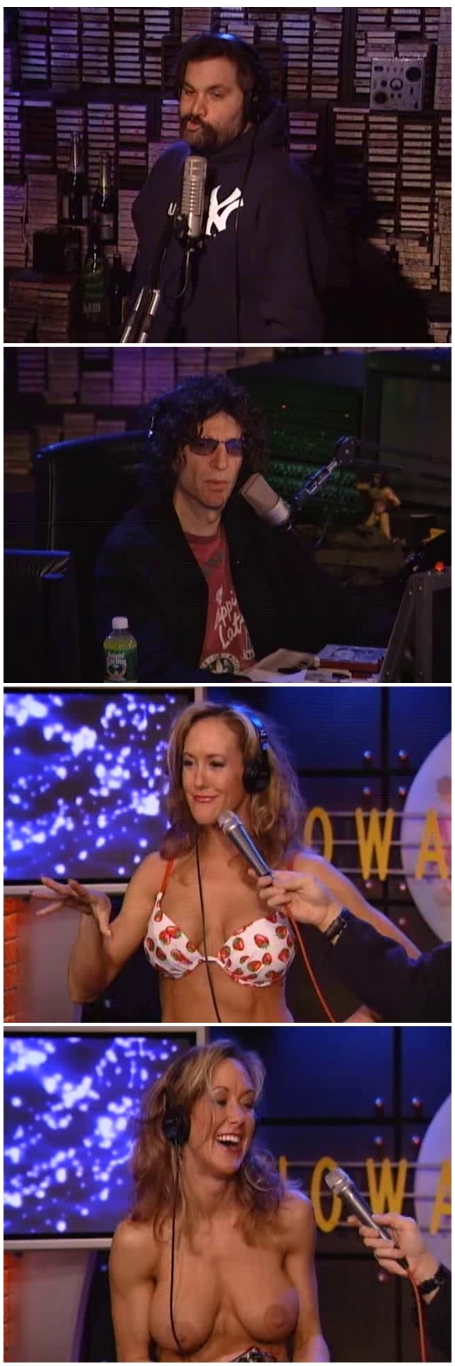 Howard stern sextapes