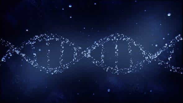 DNA Reveal - VideoHive 22745866
