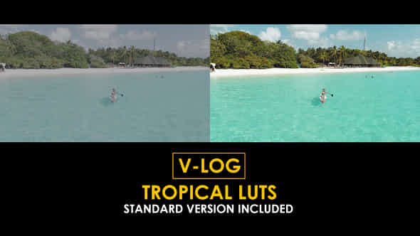 Vlog Tropical And Standard Color Luts - VideoHive 51303308