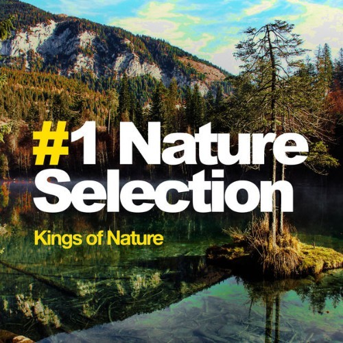 Kings of Nature - #1 Nature Selection - 2019