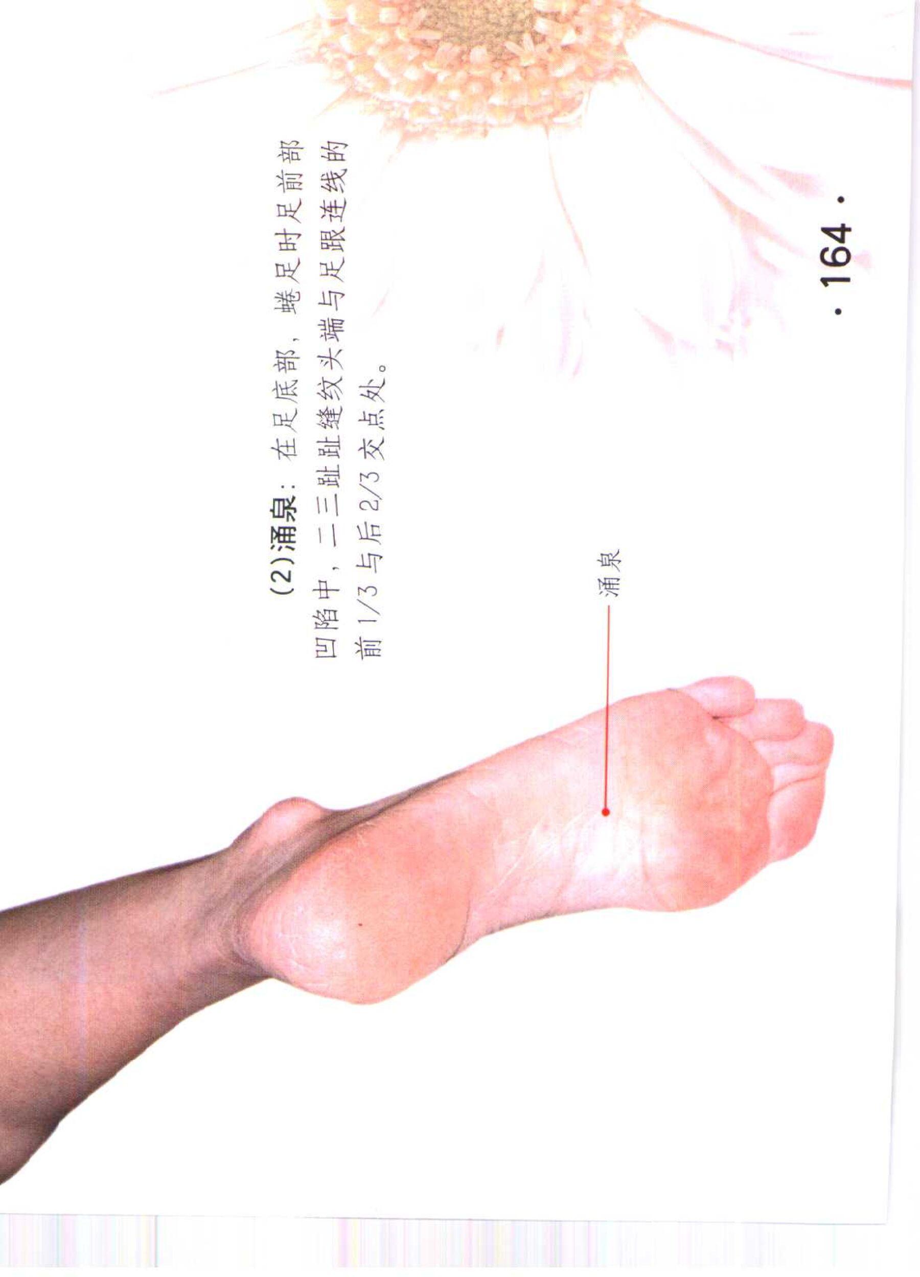 书籍扫描 乳房保健按摩彩色图谱(169)