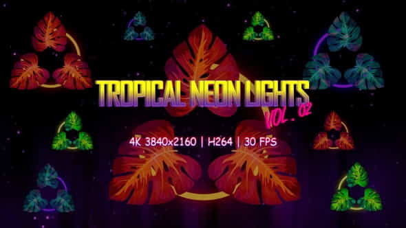 Tropical Neon Lights Vol. 02 - VideoHive 30950716