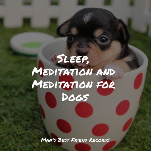 Calming Music for Dogs - Sleep, Meditation and Meditation for Dogs - 2022