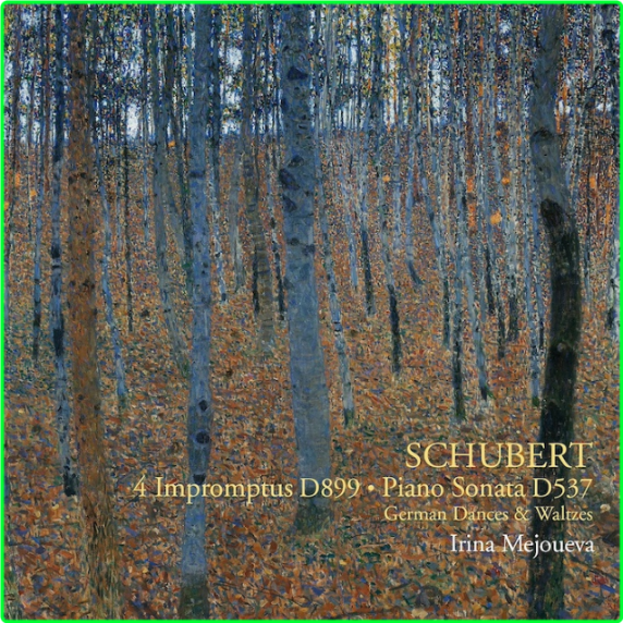 Schubert 4 Impromptus D 899, Piano Sonata D 537, Etc (2021) 24 96 JA4Hq7d2_o