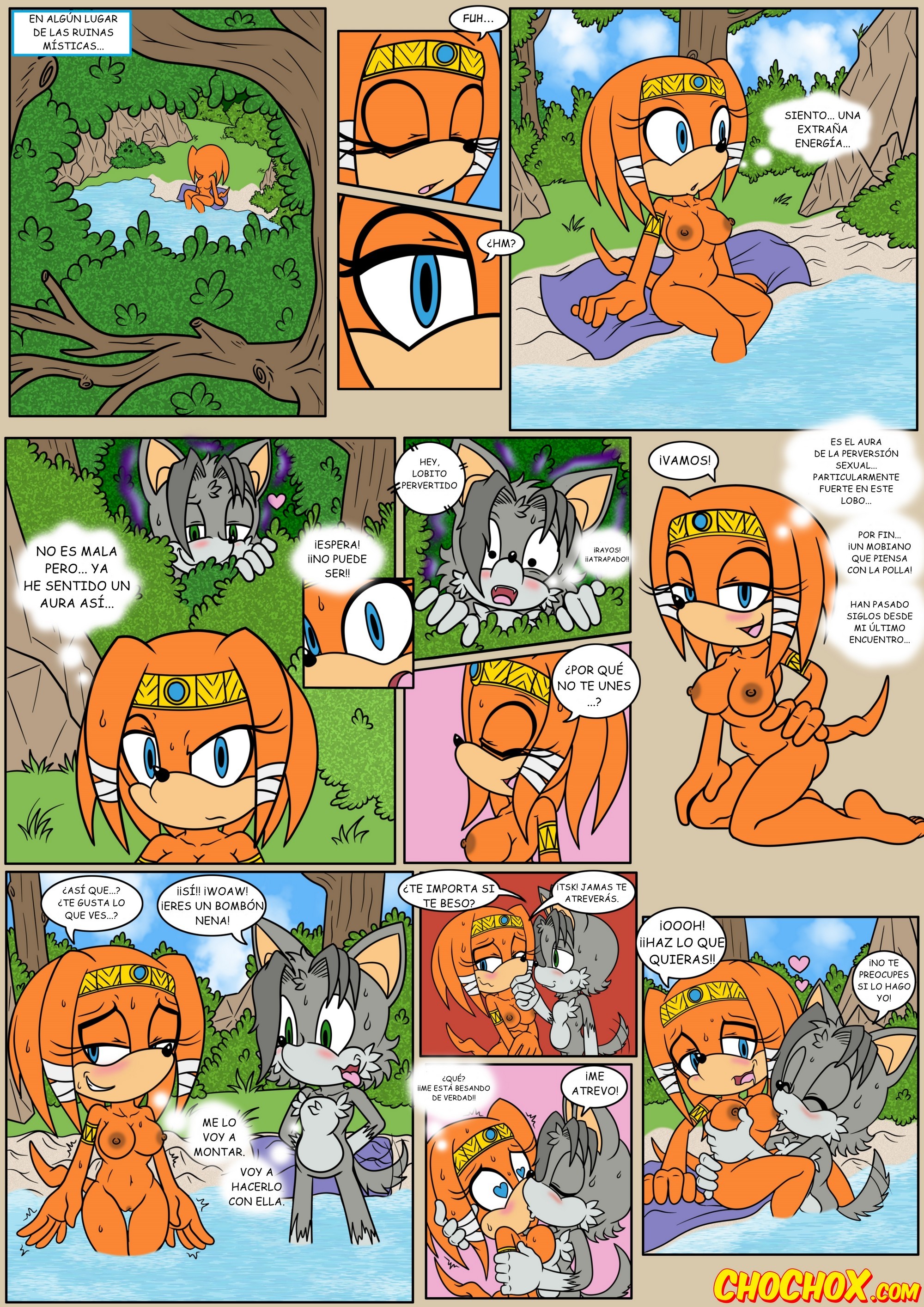 Naiars Misadventures 1 – Tikal the Echidna - 1