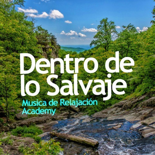 Relajacion del Mar - Dentro de lo Salvaje - 2019