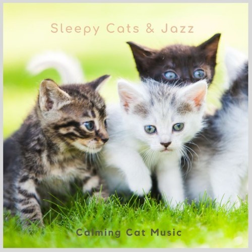 Calming Cat Music - Sleepy Cats & Jazz - 2021