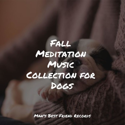 Calm Doggy - Fall Meditation Music Collection for Dogs - 2022