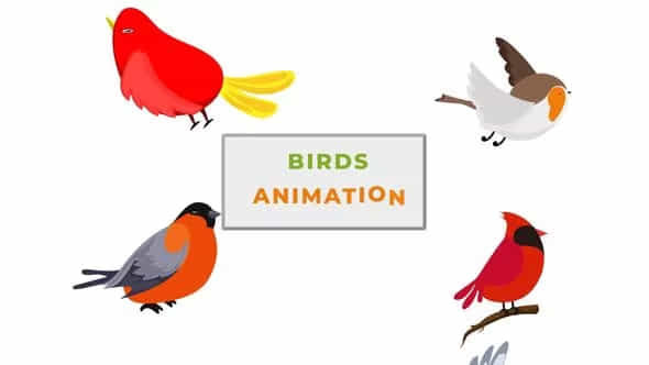 SmallSparrow Birds Animation - VideoHive 42855426