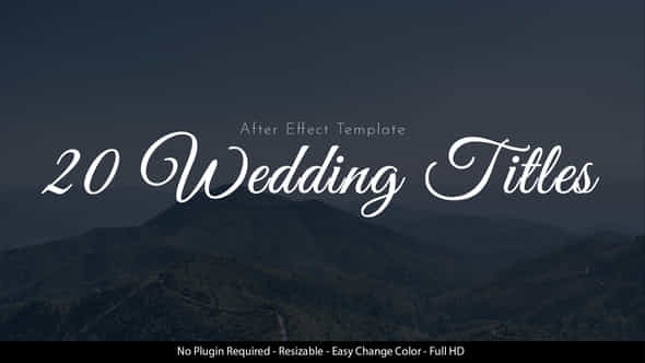Wedding Titles - VideoHive 45053568