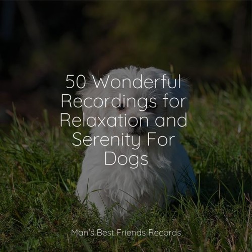 Music for Leaving Dogs Home Alone - 50 Wonderful Recordings for Relaxation and Serenity For Dogs ...