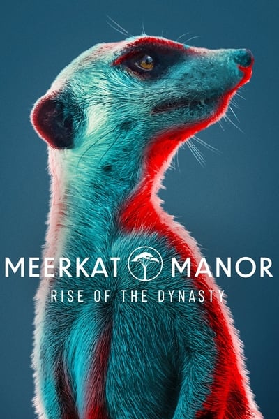 Meerkat Manor Rise of the Dynasty S01E05 720p HEVC x265-MeGusta