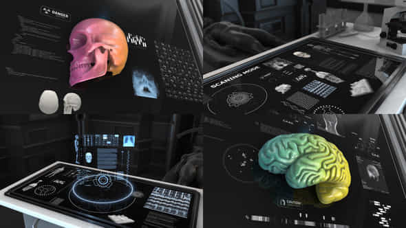 200 Anatomical Infographics - VideoHive 24063143