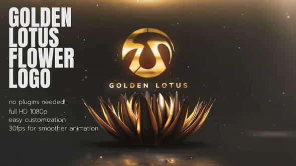 Golden Lotus Flower Opener | Abstract - VideoHive 26351523