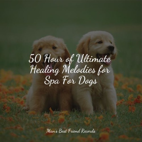 Music for Calming Dogs - 50 Hour of Ultimate Healing Melodies for Spa For Dogs - 2022