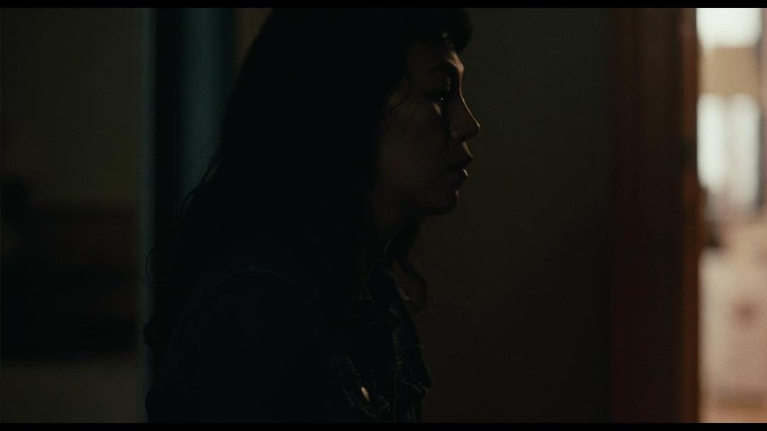 Lingua Franca 2019 1080p NF WEBRip DD5 1 x264-PTP Lingua Franca 2019 1080p NF WEBRip DD5 1 x264-PTP