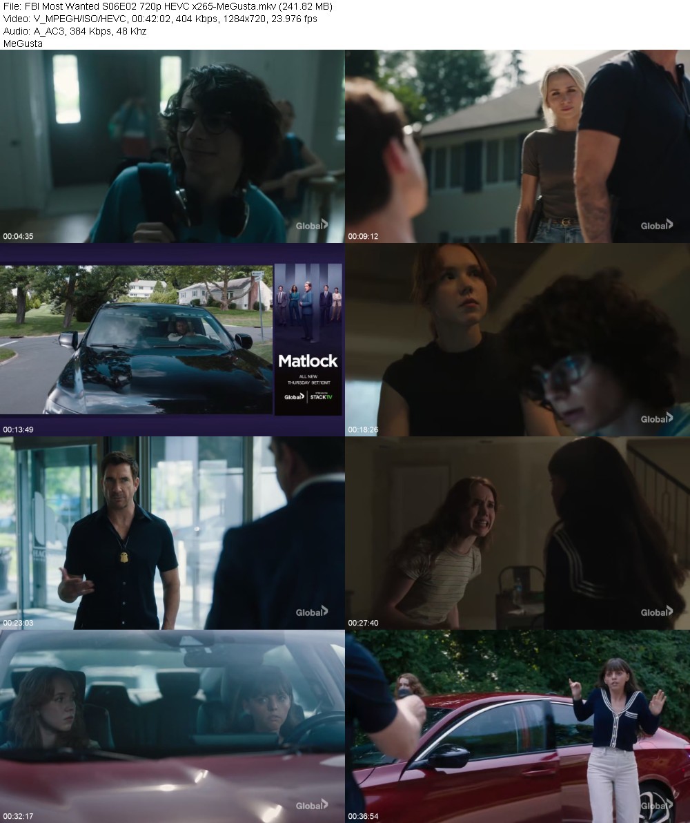 FBI Most Wanted S06E02 720p HEVC x265-MeGusta