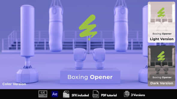 Boxing Opene - VideoHive 53667389