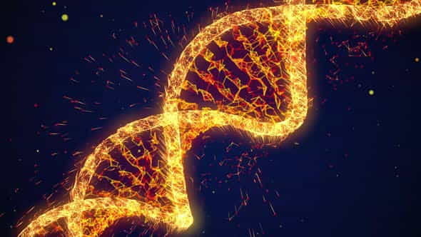 DNA Golden Glowing Helix - VideoHive 24251510