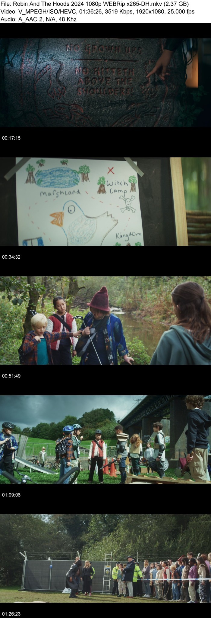 Robin And The Hoods (2024) 1080p WEBRip x265-DH E9BbWyoH_o