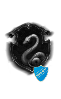 staff & head boy & Serpentard ◊ ambition, cunning staff & head boy & Serpentard ◊ ambition, cunning