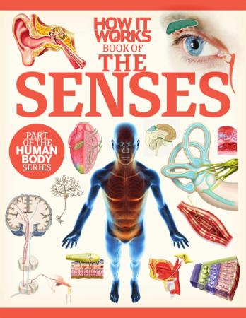 The Senses OCR - How It Works