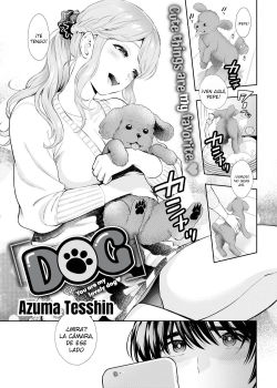 dog-azuma-tesshin