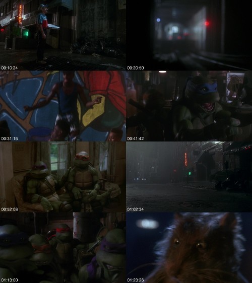 TMNT 1990 NORDiC 1080p BluRay x264-TWA