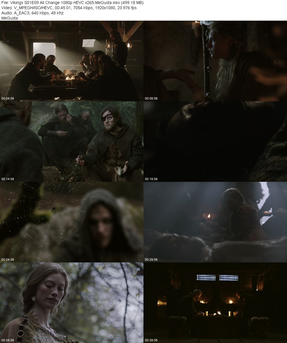 Vikings S01E09 All Change 1080p HEVC x265-MeGusta