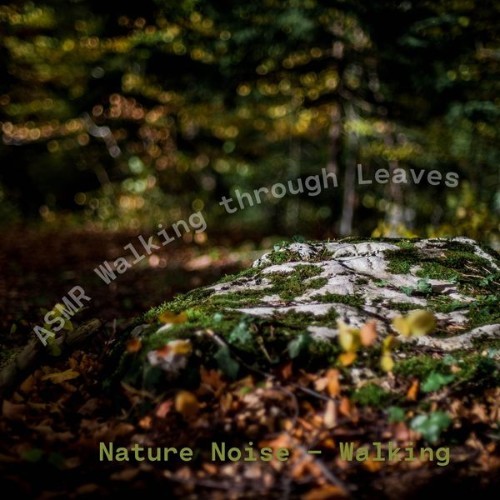 ASMR Walking through Leaves - Nature Noise – Walking - 2022