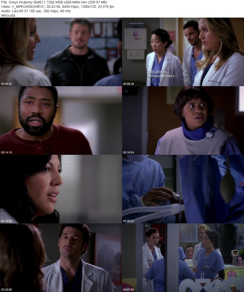 Greys Anatomy S04E11 720p WEB x265-MiNX