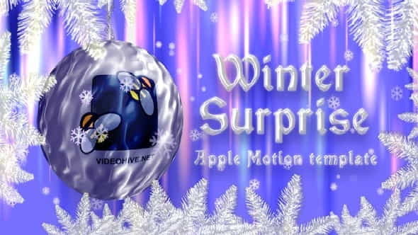 Winter Surprise - VideoHive 3583123