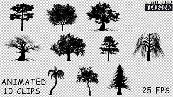 Silhouette Trees Pack - VideoHive 19659633