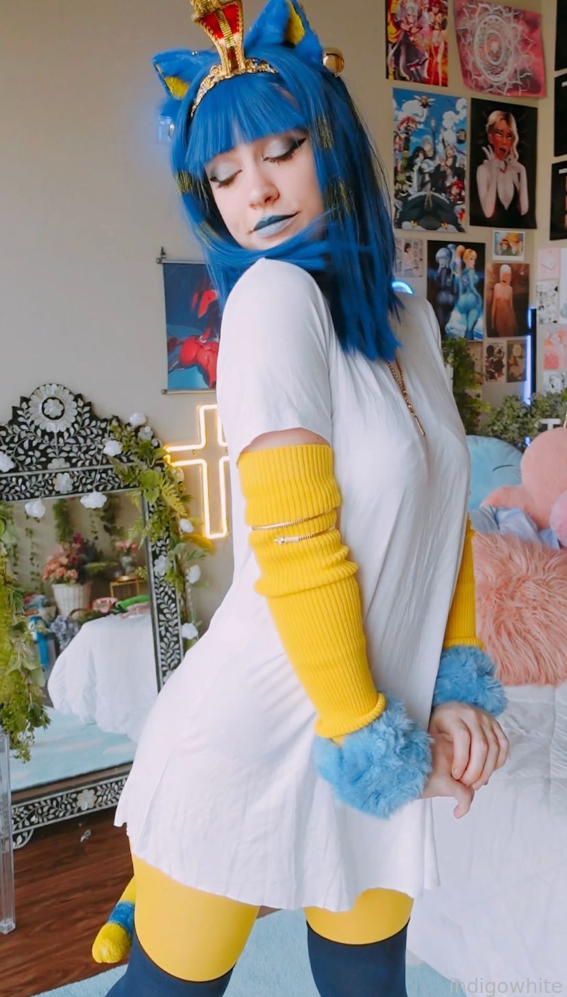 Indigo White - Ankha