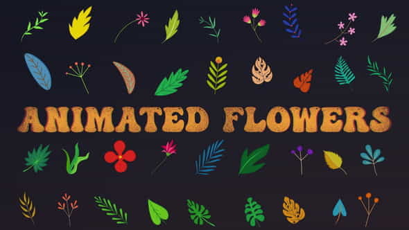 Animated Flowers After Effects - VideoHive 33714560