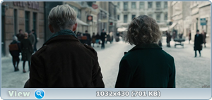   / The Book Thief (2013) BDRip-AVC  HELLYWOOD |  | 2.19 GB