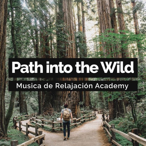Relajacion del Mar - Path into the Wild - 2019