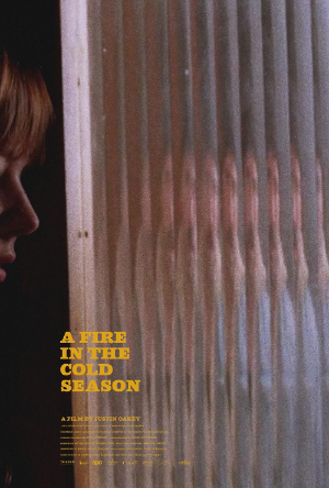 A Fire In The Cold Season poster image