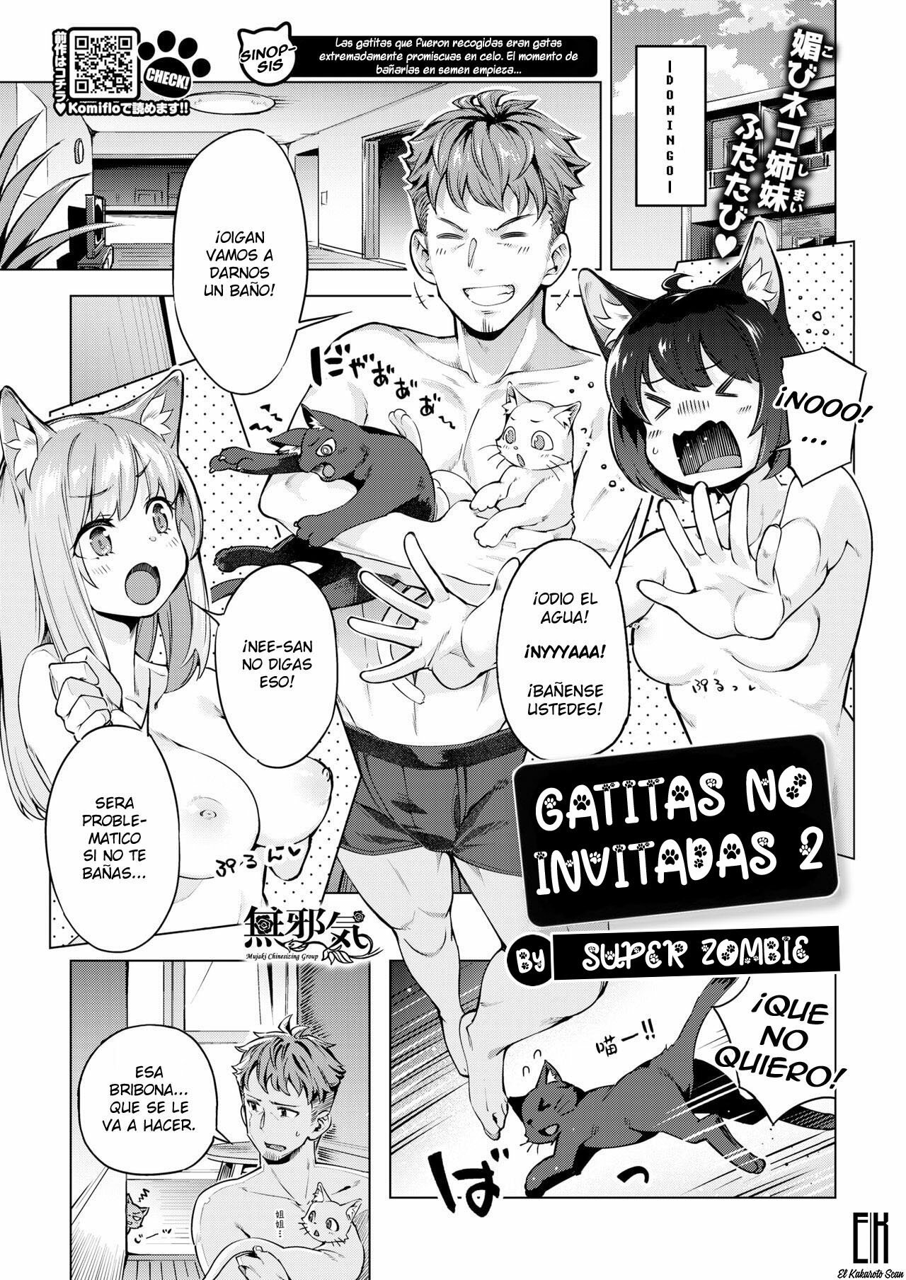 GATITAS NO INVITADAS 2 - 0