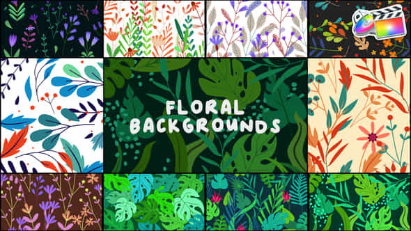 Floral Backgrounds for - VideoHive 43705135