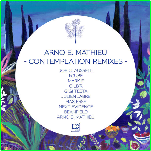 Arno E Mathieu Contemplation Remixes (2024) 24Bit 44 1kHz [FLAC] 7lcVNw51_o