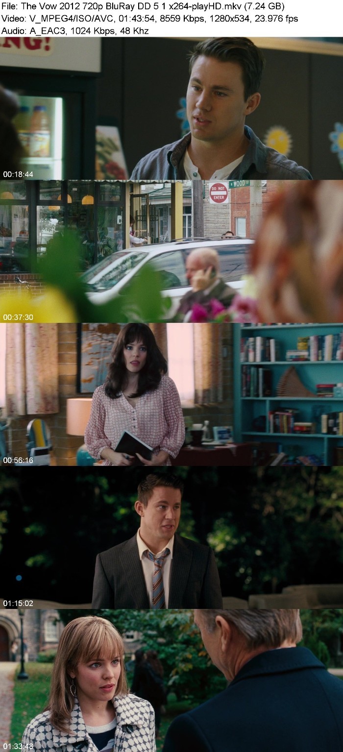 The Vow (2012) 720p BluRay DD 5 1 x264-playHD 6R1iBrS9_o