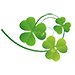 Shamrock Shamrock